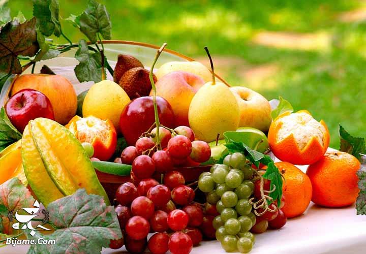 رژیم جنرال موتورز محتوی مقدار زیادی میوه و سبزیجات است.