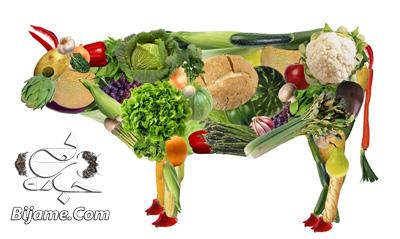 مواد غذایی مناسب گیاهخواران, رژیم غذایی گیاهی